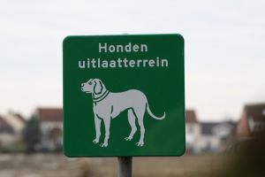 hondenuitlaatterrein